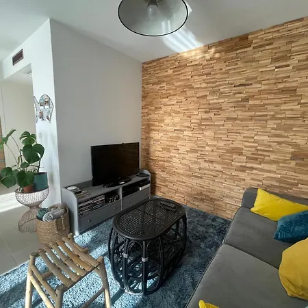 T2 Vue Pyrenees Au Sud De