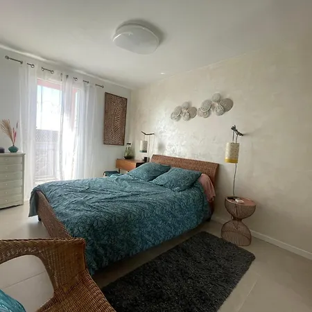 T2 Vue Pyrenees Au Sud De 圖盧茲