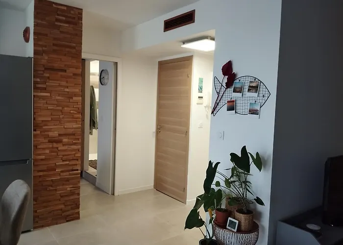 Apartament T2 Vue Pyrenees Au Sud De Tuluza