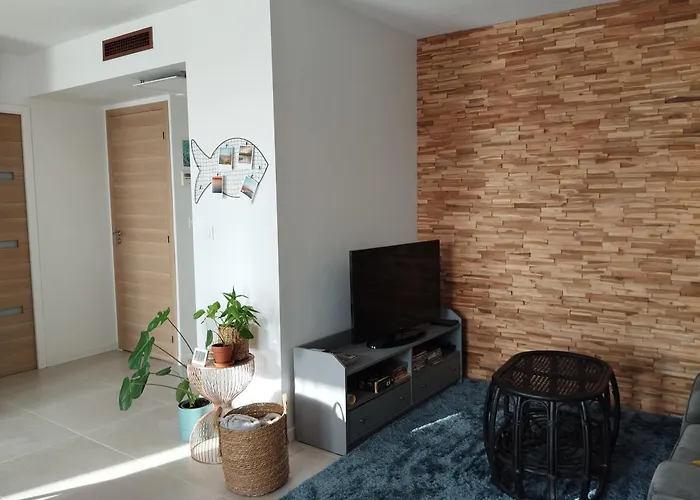 T2 Vue Pyrenees Au Sud De Apartament