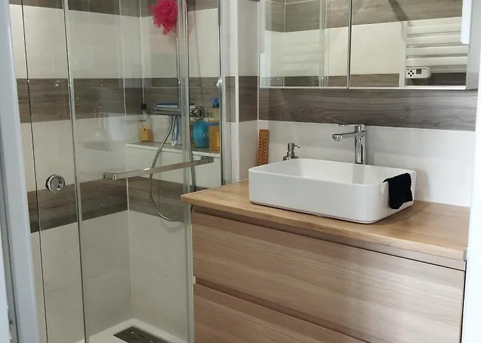 T2 Vue Pyrenees Au Sud De * Tuluza