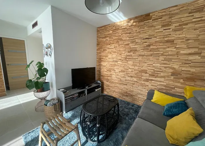 T2 Vue Pyrenees Au Sud De