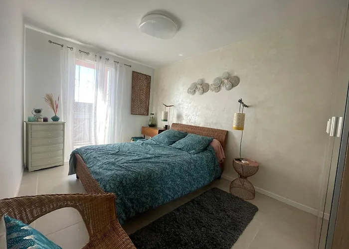 T2 Vue Pyrenees Au Sud De Tuluza