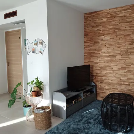 T2 Vue Pyrénées Au Sud De Apartamento